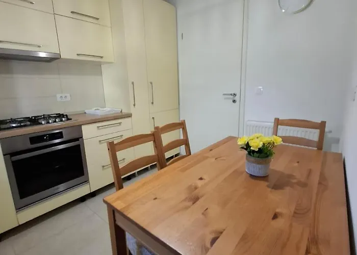 Private - Coresi Center Apartment